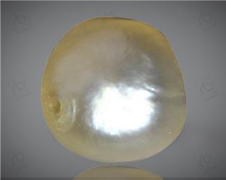 Natural Pearl ( Basra) Certified  1.41 Cts { 0011(25) }
